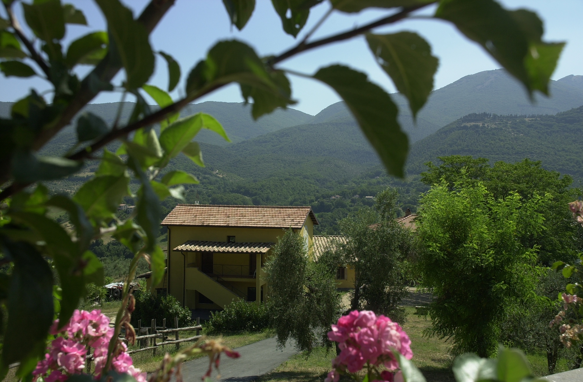 Vista dell'agriturismo tra gli ulivi